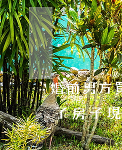 婚前男方買的房子離婚女方想要(婚前男方買了房子現在離婚了)