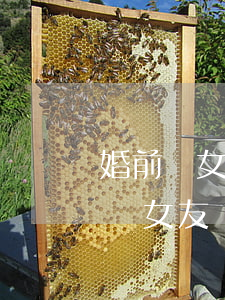婚前給女朋友買房離婚后怎么分(婚前我拿錢給女友買房以后可以分嗎)