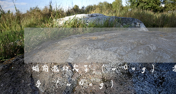 婚前老公欠了網(wǎng)貸(老公欠了很多網(wǎng)貸)