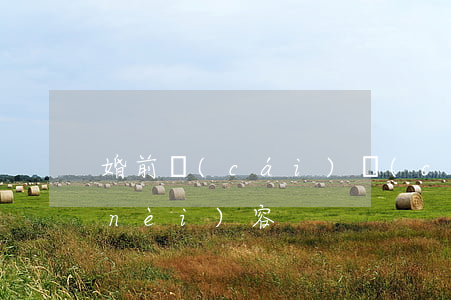 婚前財(cái)產(chǎn)公證內(nèi)容