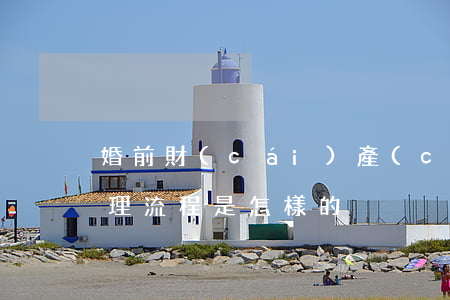 婚前財(cái)產(chǎn)公證的辦理流程是怎樣的