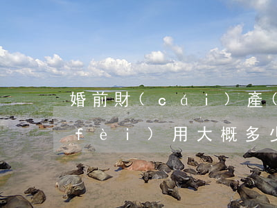 婚前財(cái)產(chǎn)公證費(fèi)用大概多少