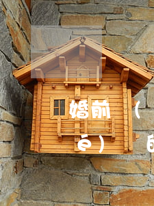 婚前財(cái)產(chǎn)協(xié)議的格式