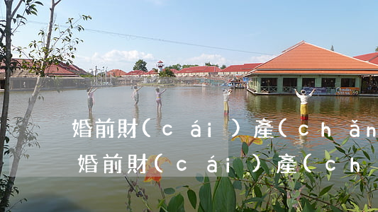 婚前財(cái)產(chǎn)如何界定，婚前財(cái)產(chǎn)如何界定最新法規(guī)