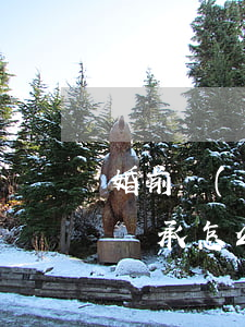 婚前財(cái)產(chǎn)過世第一繼承怎么分配(婚前財(cái)產(chǎn)的繼承順序)