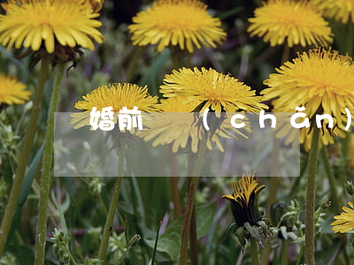 婚前財產(chǎn)怎么公證