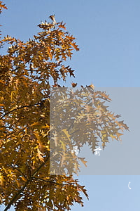 婚前財產(chǎn)離婚后如何分配(婚前財產(chǎn)離婚后如何分配出軌)
