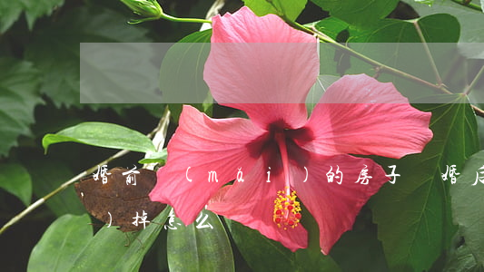 婚前買(mǎi)的房子離婚后賣(mài)掉怎么辦
