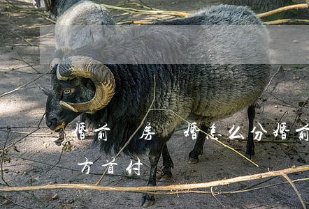 婚前買房離婚怎么分(婚前買房離婚怎么分男方首付)