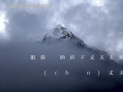 婚前買的房子丈夫去世房子怎么繼承(婚前房產(chǎn),丈夫死后,妻子可以繼承嗎?)