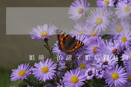 婚前買的房子婚后算共同財產(chǎn)嗎