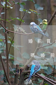 婚前買的房子婚后算共同財產(chǎn)嗎(婚前買的房子婚后加名字算共同財產(chǎn)嗎)