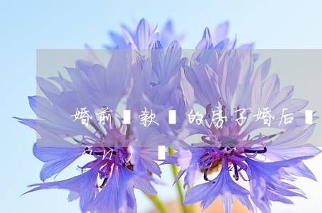 婚前貸款買的房子婚后屬于共同財產(chǎn)嗎