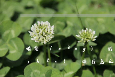 婚前贈(zèng)與的財(cái)產(chǎn)離婚后怎么分配