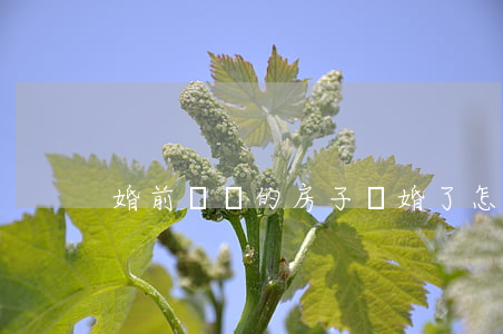 婚前贈與的房子離婚了怎么辦
