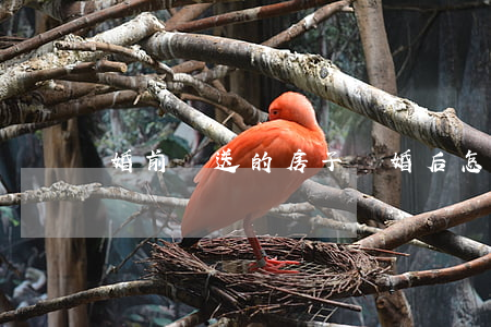 婚前贈送的房子離婚后怎么辦