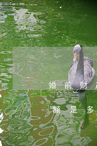 婚前财产怎么继承(婚前财产怎么继承?分别份额是多少?)