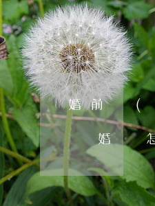 婚前轉(zhuǎn)移財產(chǎn)離婚會怎么判