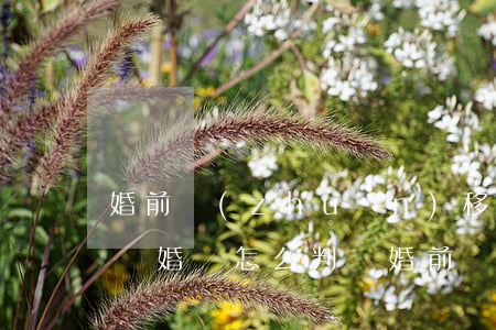 婚前轉(zhuǎn)移財產(chǎn)離婚會怎么判(離婚前轉(zhuǎn)移財產(chǎn)怎樣認定)