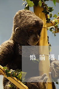 婚前隱瞞病情是否無(wú)效婚姻