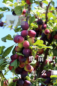 婚前離婚后房子怎么辦(離婚前買的房,離婚后怎么辦房產(chǎn)證)