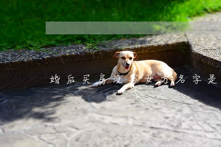 婚后买房没写女方名字是共同财产吗