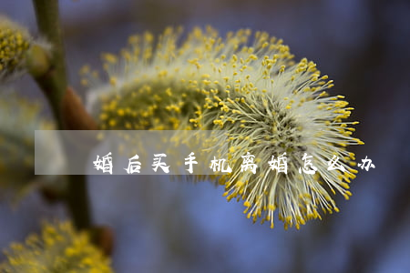 婚后买手机离婚怎么办