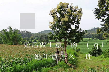 婚后做生意虧的錢(qián)離婚怎么算(離婚生意怎么處理)