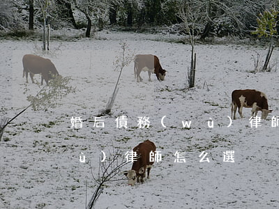 婚后債務(wù)律師怎么選(婚后債務(wù)律師怎么選)