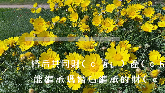 婚后共同財(cái)產(chǎn)婆婆能繼承嗎(婚后繼承的財(cái)產(chǎn)算夫妻共有嗎)