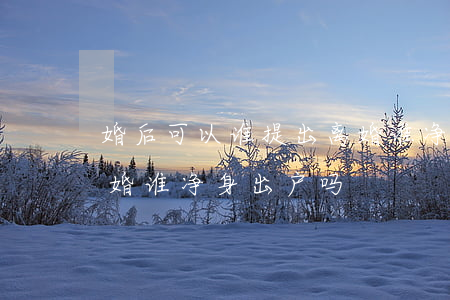 婚后可以谁提出离婚谁净身出户吗(谁提出离婚谁净身出户吗?)