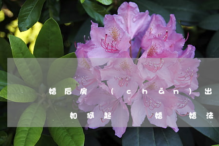 婚后房產(chǎn)出現(xiàn)糾紛如何起訴離婚(離婚法院財(cái)產(chǎn)糾紛會(huì)怎么處理)