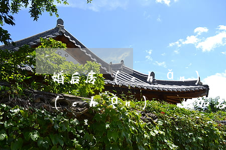 婚后房產(chǎn)證上加名字(婚后房產(chǎn)證上加名字算共同財(cái)產(chǎn)離婚怎么分配)