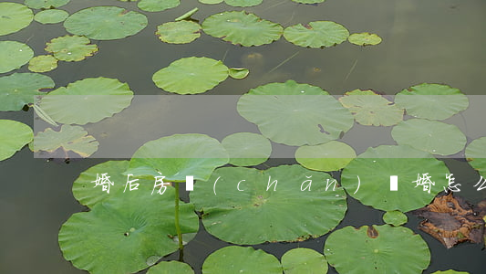 婚后房產(chǎn)離婚怎么分配