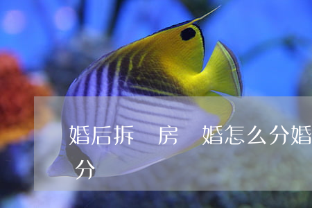婚后拆遷房離婚怎么分(婚后拆遷房離婚怎么分)