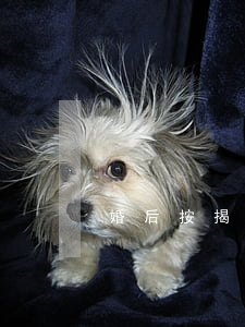 婚后按揭房產(chǎn)離婚怎么分配