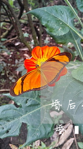 婚后未領(lǐng)結(jié)婚證離婚財產(chǎn)分割(沒有結(jié)婚證離婚可以分到財產(chǎn)嗎)