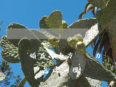 婚后欠女方錢無力償還(婚后欠女方錢無力償還怎么處理)