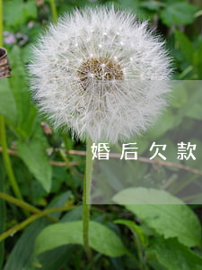 婚后欠款離婚怎么處理