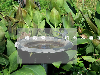 婚后欠網貸的女人(妻子欠網貸)