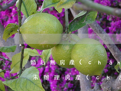 婚后無房產(chǎn)證房子離婚怎么分(未辦理房產(chǎn)證的房子離婚怎么分割)