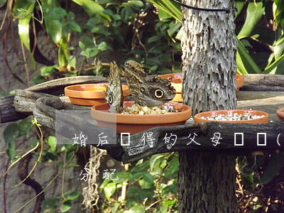 婚后獲得的父母財產(chǎn)離婚如何分配