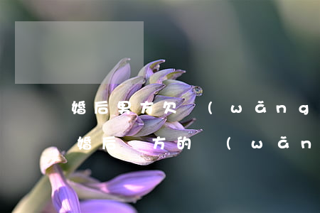 婚后男方欠網(wǎng)貸離婚怎么算(離婚后對方的網(wǎng)貸債務(wù))