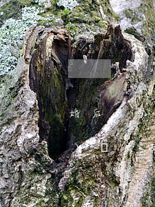 婚后男方過錯離婚女方能分財產(chǎn)嗎(丈夫的婚前財產(chǎn)離婚后女方可以分嗎)