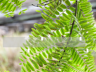 婚后發(fā)現(xiàn)老公欠很多網(wǎng)貸(老公欠了很多網(wǎng)貸)