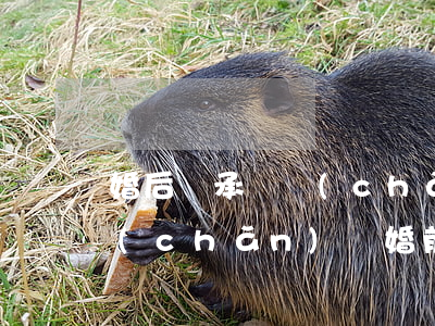 婚后繼承財產(chǎn)是婚后共同財產(chǎn)嗎(婚前繼承屬于夫妻共同財產(chǎn)嗎)