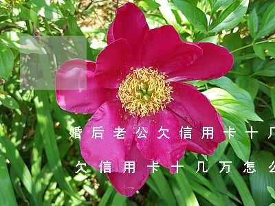 婚后老公欠信用卡十几万怎么办-婚后老公欠信用卡十几万怎么办呢