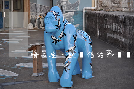 婚后要一起還借的彩禮錢嗎？