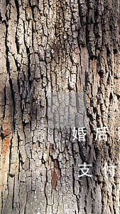 婚后財產(chǎn)公證費用是多少,怎么支付婚后財產(chǎn)公證費