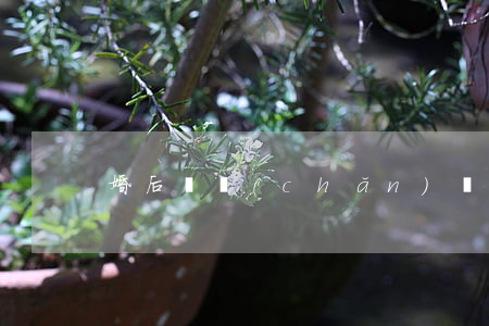 婚后財產(chǎn)協(xié)議書